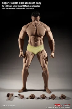 PHICEN PL2015-M35 plieno kaulų gumos super stiprus raumenų vyrų kūno, 1:6 kario kūno tapybos modelis gali būti naudojamas kaip lėlės